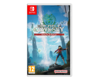 Switch One Piece Odyssey Deluxe Edition - 1241073 - zdjęcie 1